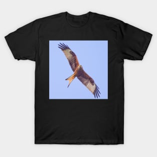 Red Kite in Flight T-Shirt